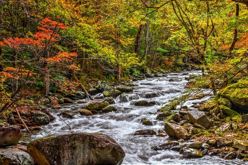 Sevierville river during fall