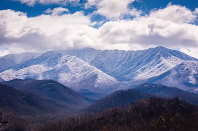 Smokies during winter